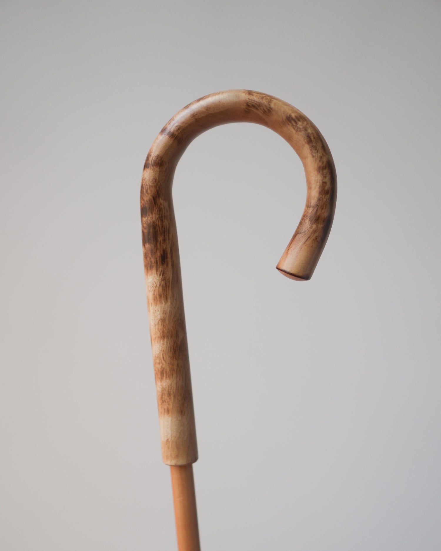 ボーダー フラワー 長傘 50cm 8本骨