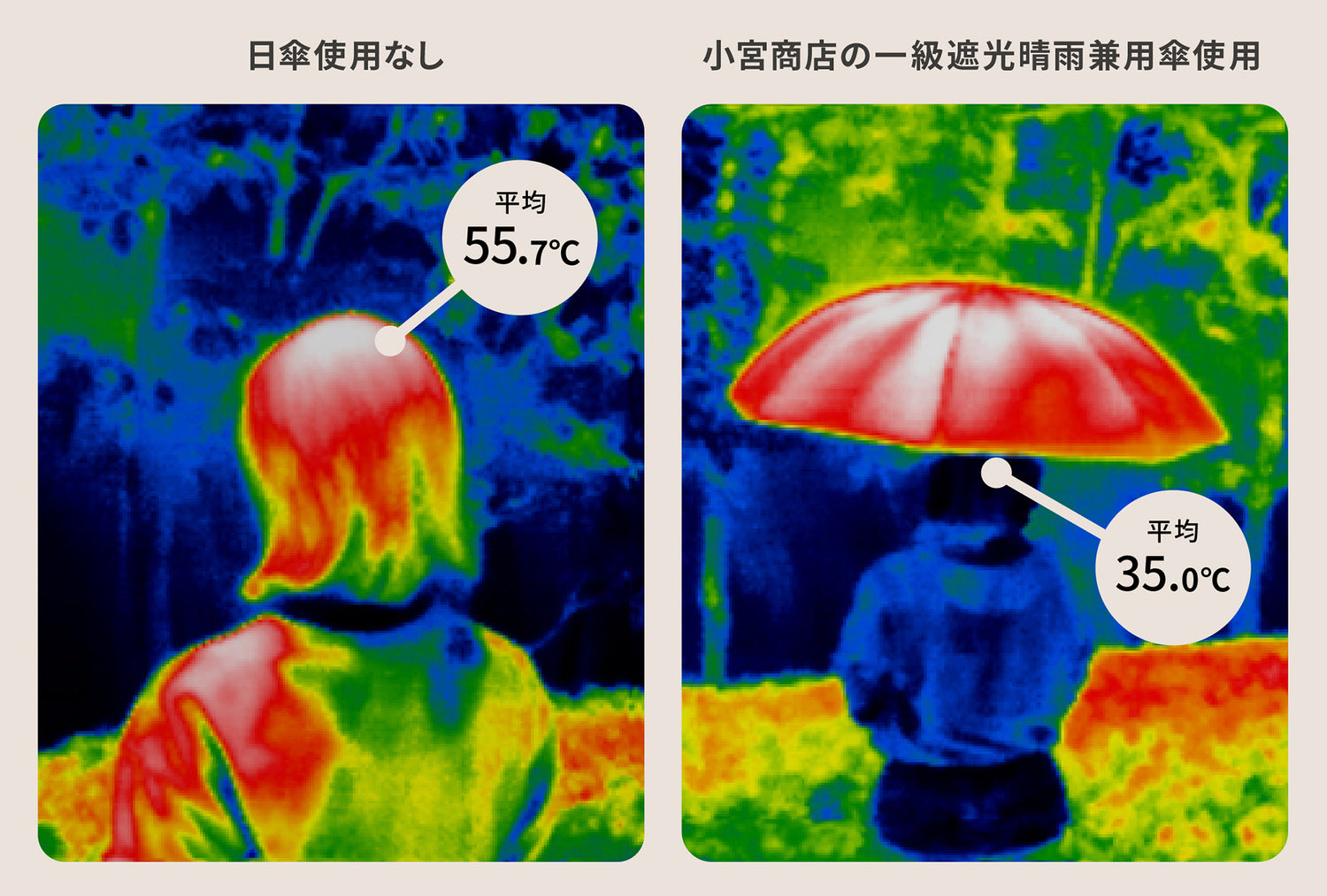 フリンジドットシェード 折りたたみ傘 50cm 8本骨