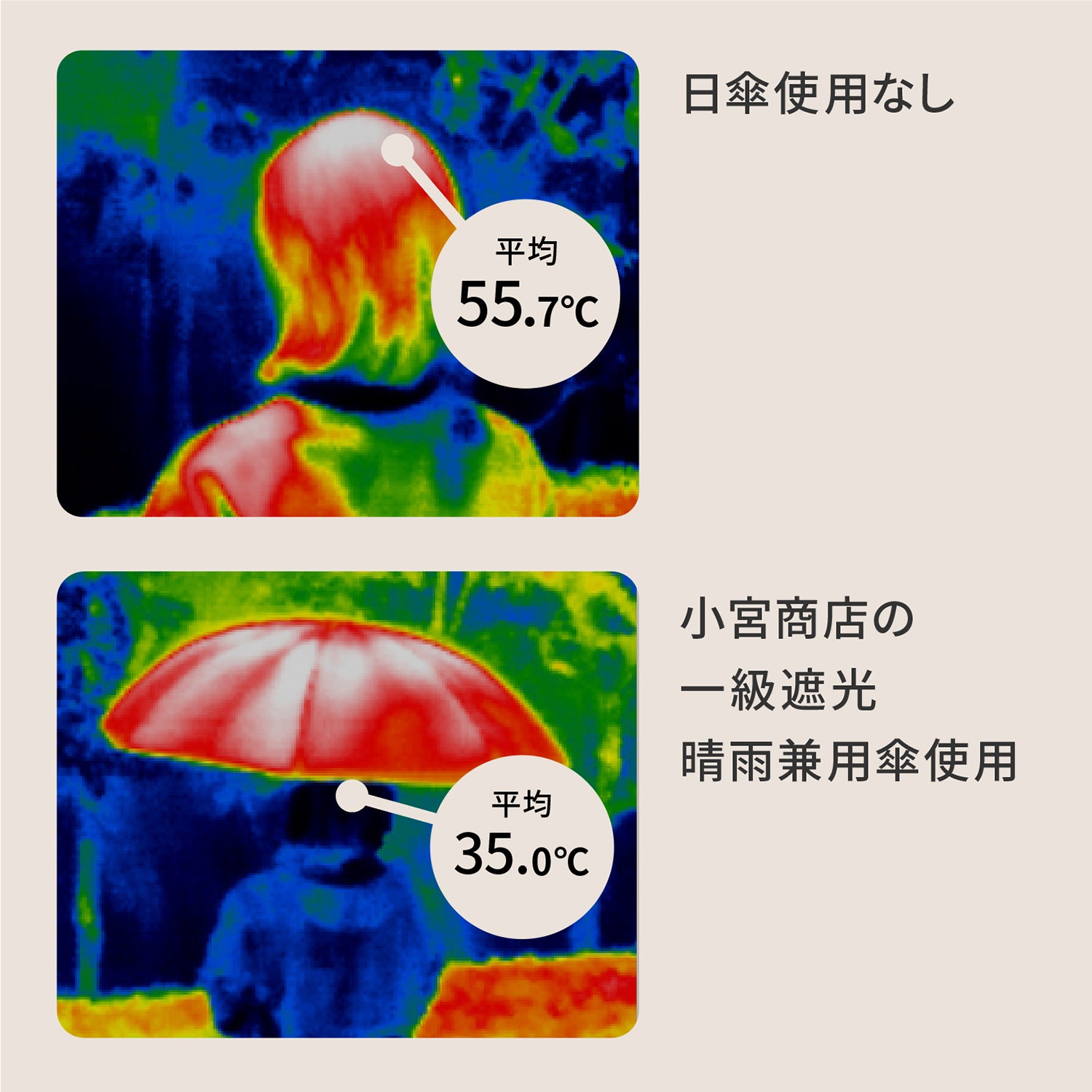コットンローンシェードmen 折りたたみ傘 55cm 8本骨